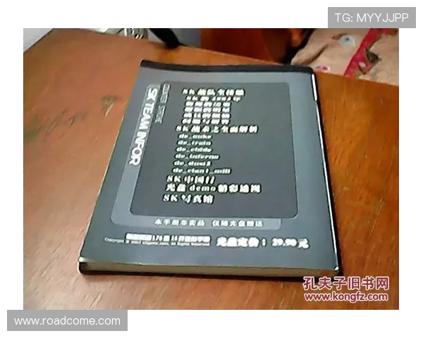 V5战队个人能力深度分析与战术应用探讨