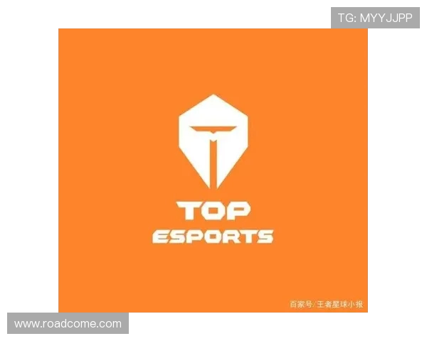 TES战队的控制力解析：DOTA2深度剖析与战术运用探讨