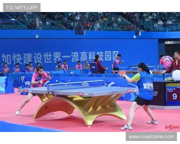 全国锦标赛特别报道：成都篮球队如何逆袭成就辉煌之路