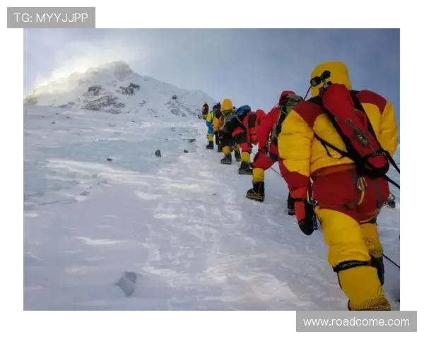 刘娜独家分享街舞心得与技巧提升之路探秘