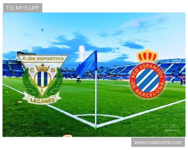 南京排球队创新阵地战策略引领新潮流助力竞技水平提升