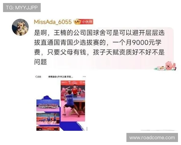 深圳乒乓球队实力剖析:从青训到职业赛场的全面发展与成就 深圳乒乓球队实力剖析:从青训到职业赛场的全面发展与成就