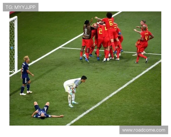 比利时与日本河马的精彩对决解析与战术分析