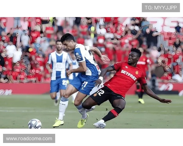 菜万特对阵马洛卡精彩比分揭晓赛季精彩瞬间回顾与分析