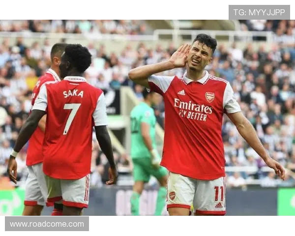 马丁内利：从青涩新星到足球场上的璀璨明珠之路