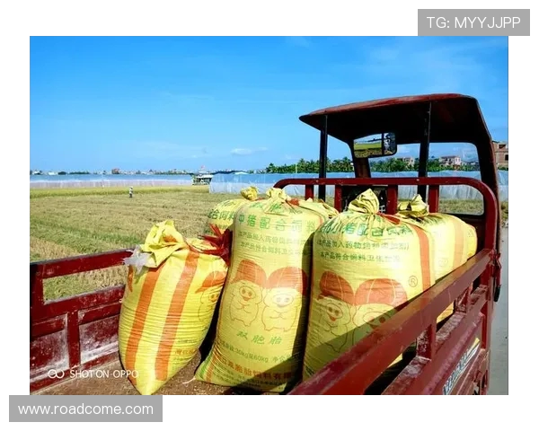 马力克的传奇旅程与时代变迁中的奋斗精神探讨 马力克的传奇旅程与时代变迁中的奋斗精神探讨