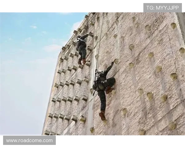 攀岩战术解析：探索北京攀岩队的高效运营与训练体系