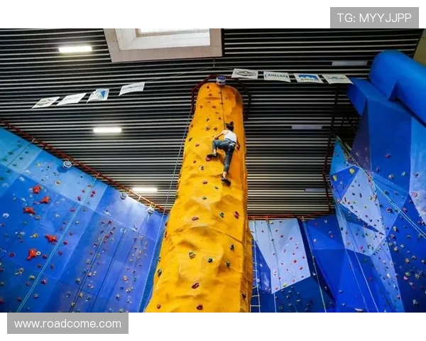 深圳攀岩队在极限运动会中以87分领先其他队伍展现强大实力 深圳攀岩队在极限运动会中以87分领先其他队伍展现强大实力