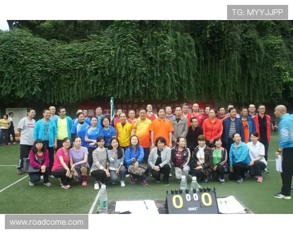 上海排球队的团队协作精神与比赛策略探讨